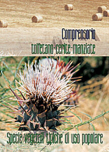 Comprensorio Tolfetano-cerite-manziate