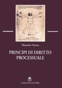 Principi di diritto processuale