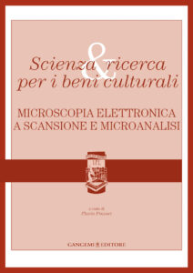 Microscopia elettronica a scansione e microanalisi