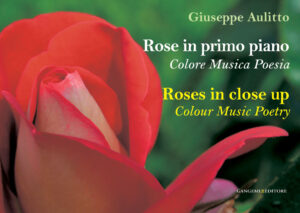 Rose in primo piano – Roses in close up