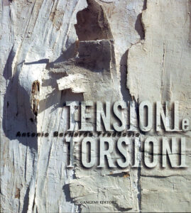 Tensioni e Torsioni